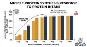 how-to-increase-protein-synthesis-in-the-body